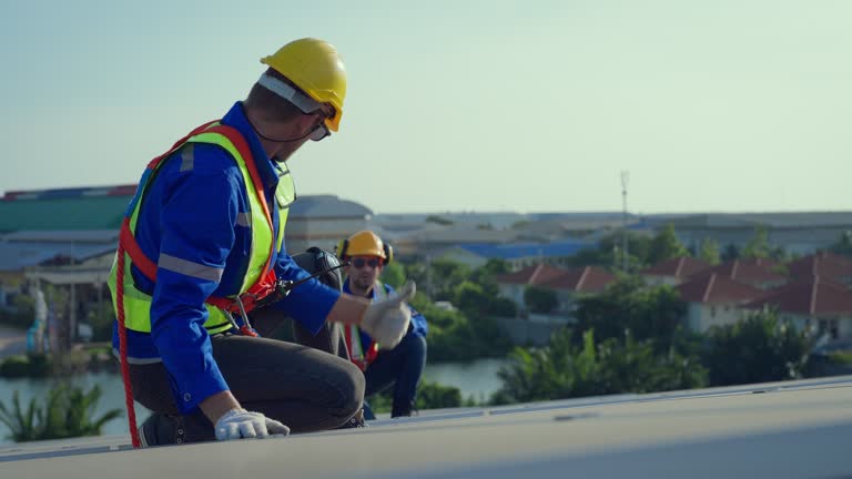 Best Roof Moss and Algae Removal  in Montague, CA